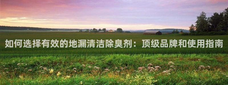 凯时国际app首页登录入口：如何选择有效的地漏清洁除臭剂