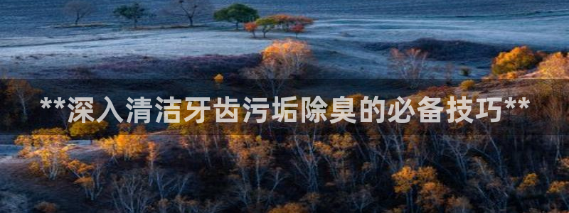 凯时平台官网RA来就送38