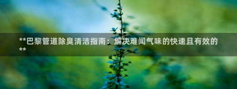 尊龙百度贴吧：**巴黎管道除臭清洁指南：解决难闻气味的快