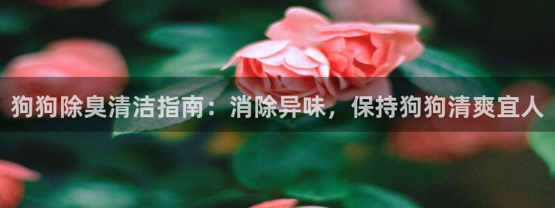 d88尊龙凯时