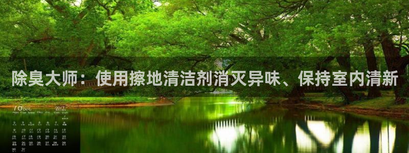 尊龙网址苹果版下载：除臭大师：使用擦地清洁剂消灭异味、保