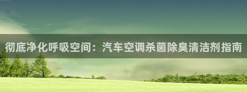 尊龙凯时官网：彻底净化呼吸空间：汽车空调杀菌除臭清洁剂指