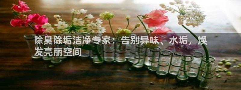 尊龙是什么软件：除臭除垢洁净专家：告别异味、水垢，焕
发