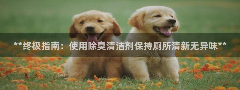 尊龙游戏官网游戏特色