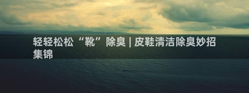 凯时平台登录：轻轻松松“靴”除臭 | 皮鞋清洁除臭妙招
