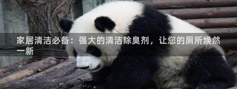 凯时官网手机版首页