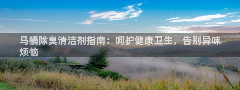 尊龙官方APP下载：马桶除臭清洁剂指南：呵护健康卫生，告