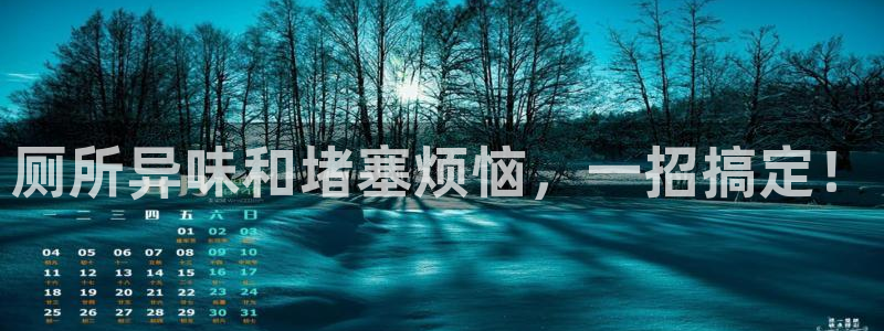 尊龙app注册官网：厕所异味和堵塞烦恼，一招搞定！