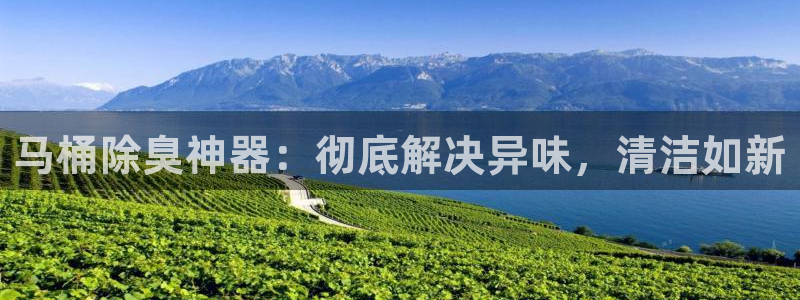 尊龙人生就是博d88官方网站：马桶除臭神器：彻底解决异味