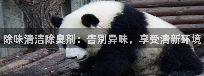 尊龙凯时网站首页手机登录：除味清洁除臭剂：告别异味，享受