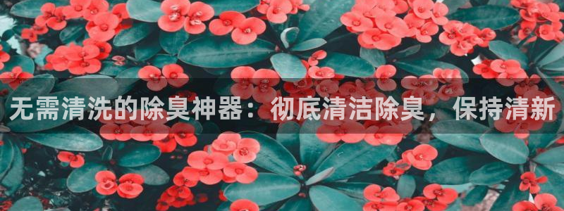 尊龙网址苹果版下载