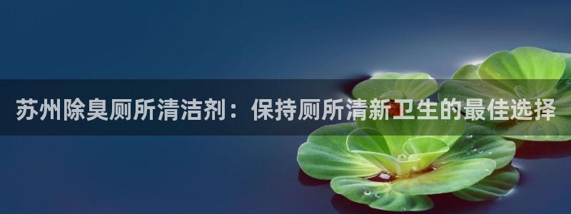 尊龙登录会员登录：苏州除臭厕所清洁剂：保持厕所清新卫生的