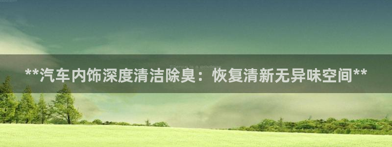 尊龙人生就要博旧版：**汽车内饰深度清洁除臭：恢复清新无