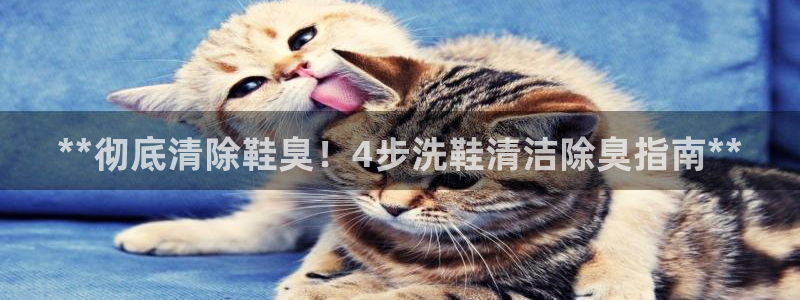 尊龙d88官网新版