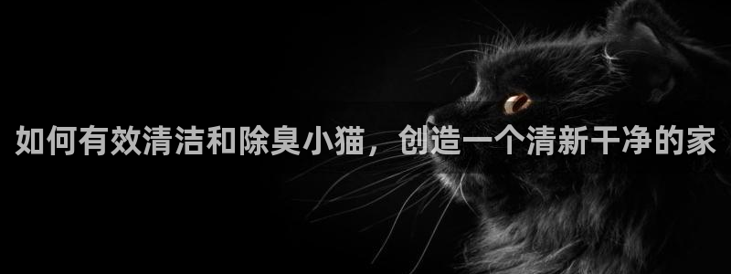 尊龙人生就是博网站下载