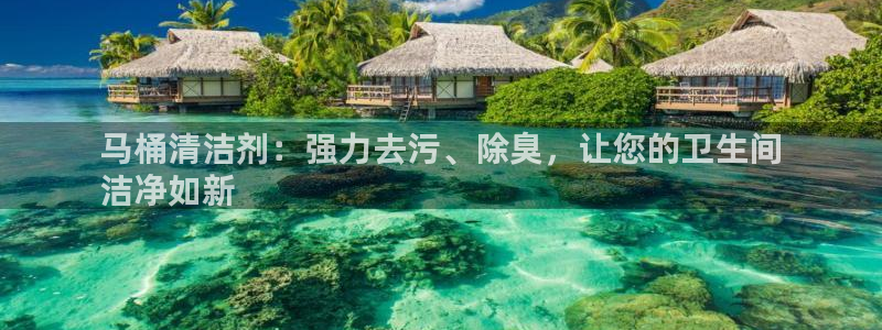 尊龙 5：马桶清洁剂：强力去污、除臭，让您的卫生间
洁净