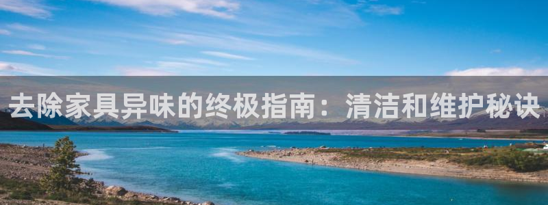 尊龙d88平台：去除家具异味的终极指南：清洁和维护秘诀