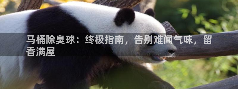 尊龙凯时合法吗?