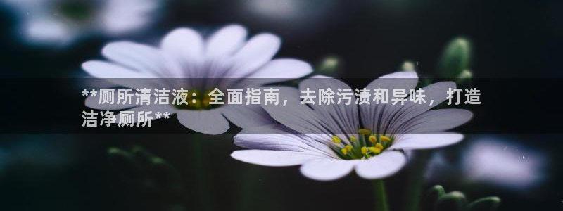 凯时kb88会员登录：**厕所清洁液：全面指南，去除污渍