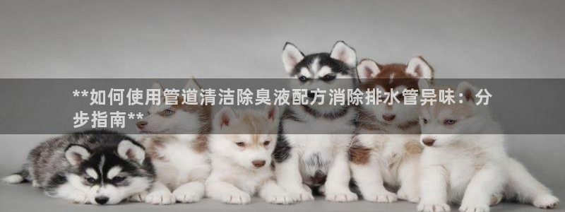 尊龙凯时代理佣金发不发