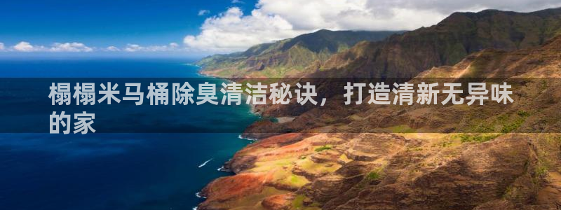 尊龙凯时返现：榻榻米马桶除臭清洁秘诀，打造清新无异味
的