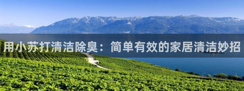 尊龙凯时的最新消息