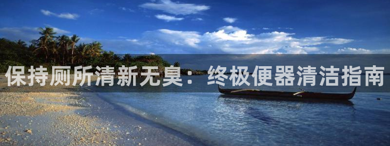尊龙凯时人生就博官网登录：保持厕所清新无臭：终极便器清洁