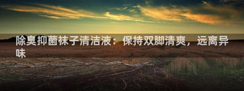 尊龙ag旗舰官网
