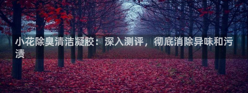 凯时国际网站域名