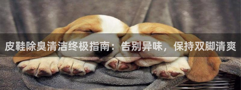 尊龙凯时提不了款