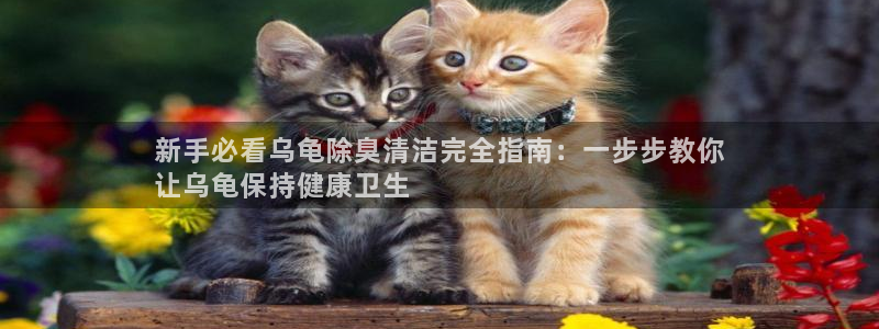 kb88凯时SO权威AG发财网