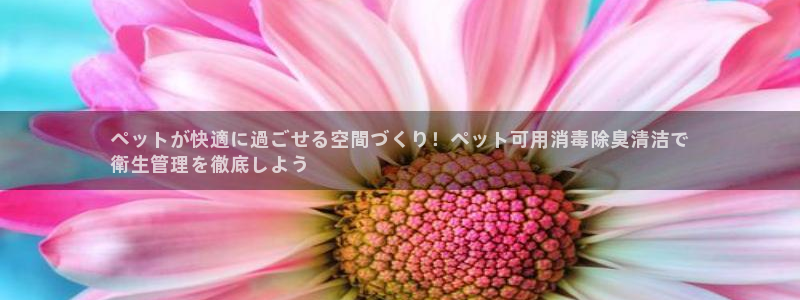 尊龙凯时代理能提出来不