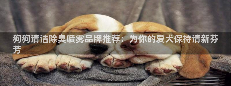 尊龙凯时旗舰厅百家乐下载