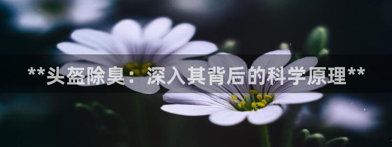 尊龙人生就是博一下首页