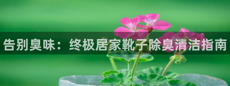 尊龙多少岁