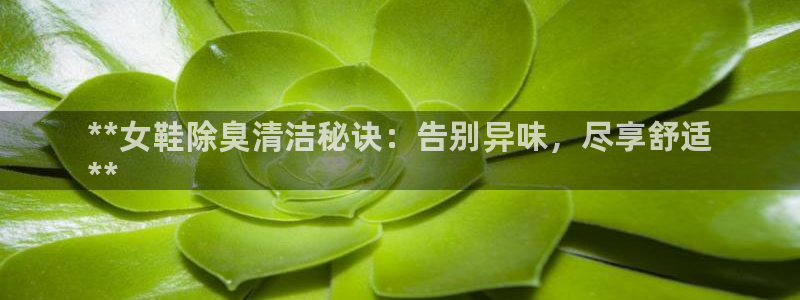 尊龙人生就是博ag