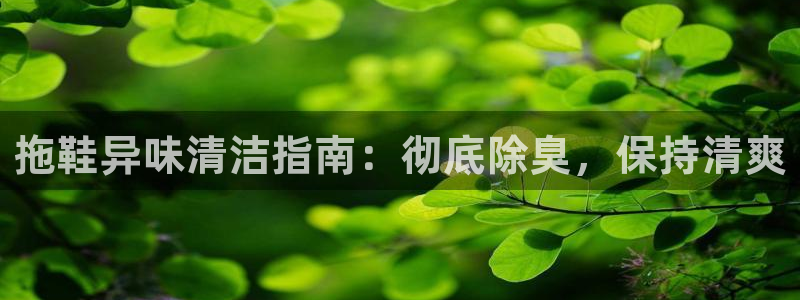 凯时登录：拖鞋异味清洁指南：彻底除臭，保持清爽