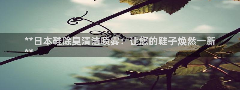 尊龙凯时代理能提出来不