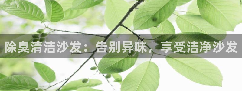 尊龙手机官方客户端下载安装