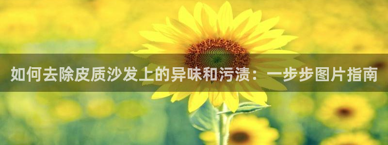 尊龙凯时取款24小时不到账
