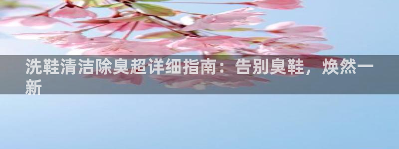 尊龙ag旗舰官网：洗鞋清洁除臭超详细指南：告别臭鞋，焕然