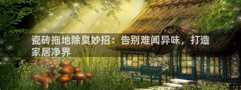 尊龙t300和t400哪个好