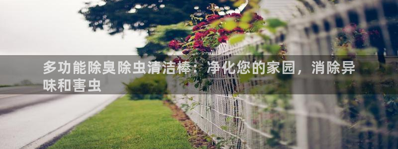 尊龙AG旗舰厅官网