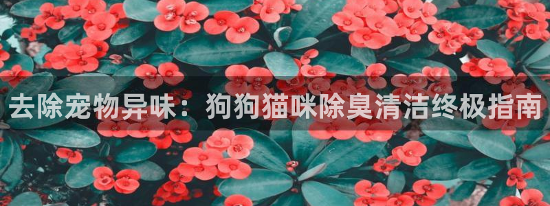 尊龙凯时代理佣金发不发