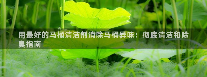尊龙ag旗舰