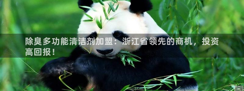 凯时官网手机版首页