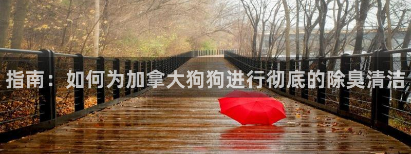 尊龙人生就是博送38：指南：如何为加拿大狗狗进行彻底的除
