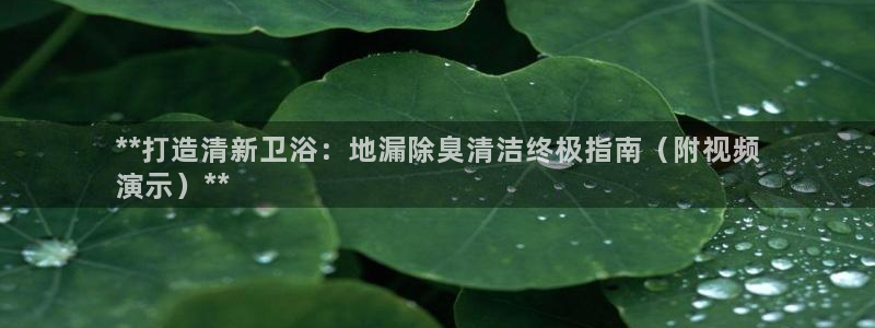 尊龙凯时人生就是博·(中国)官网：**打造清新卫浴：地漏