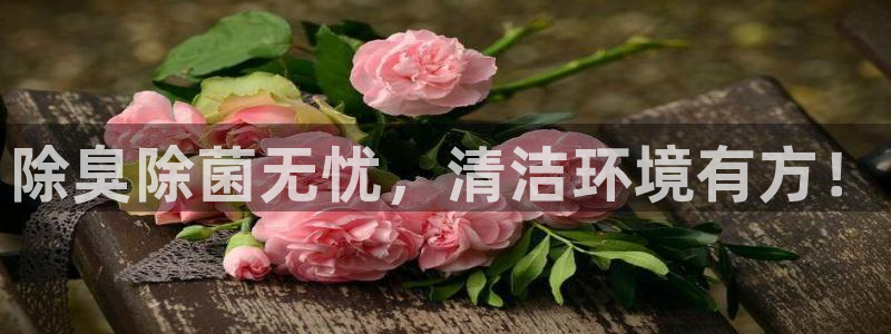 尊龙官网地址