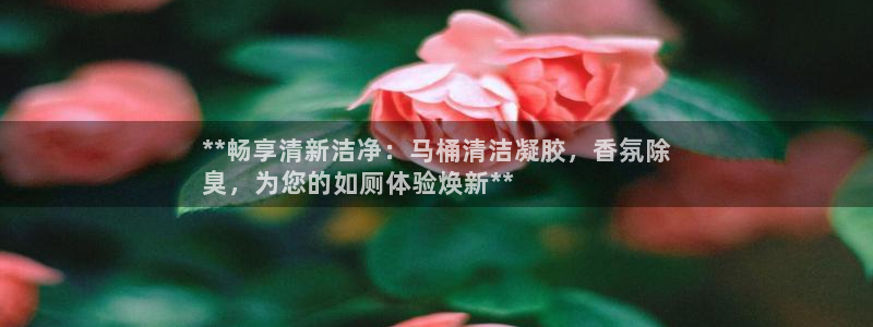 尊龙凯时注册：**畅享清新洁净：马桶清洁凝胶，香氛除
臭